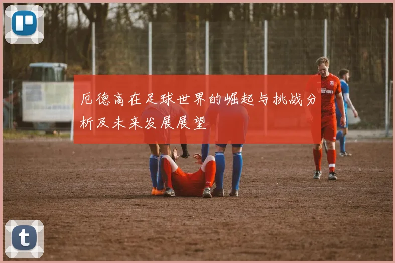 厄德高在足球世界的崛起与挑战分析及未来发展展望