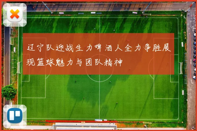 辽宁队迎战生力啤酒人全力争胜展现篮球魅力与团队精神