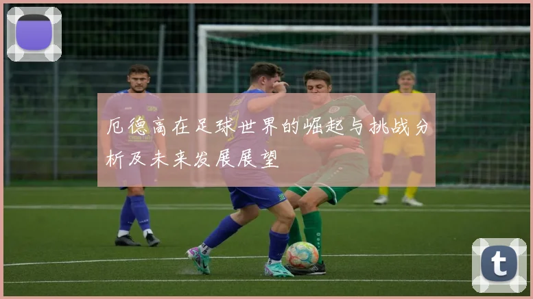 厄德高在足球世界的崛起与挑战分析及未来发展展望