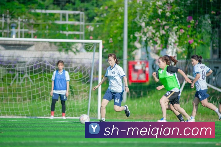 678体育发展历程